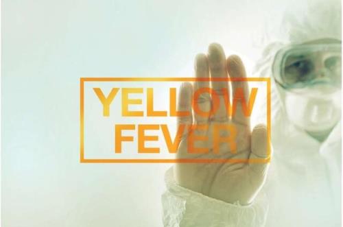 در مورد تب زرد چه می دانید؟