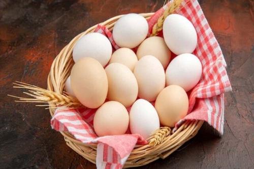 چگونگی حفاظت از تخم مرغ برای پیشگیری از مبتلا شدن به سالمونلا
